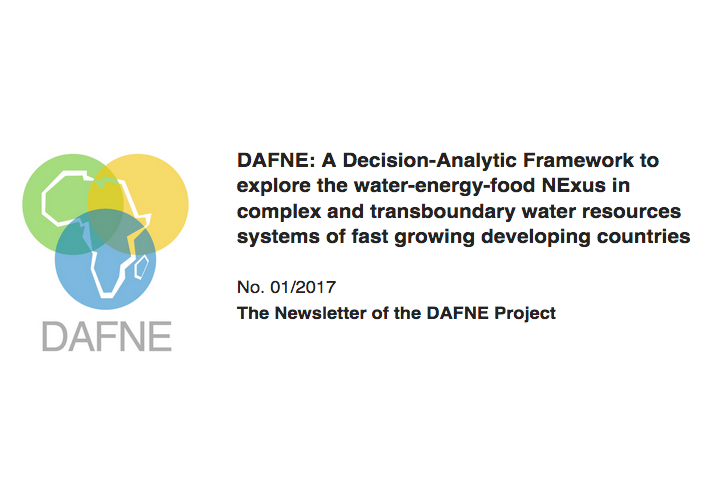 DAFNE newsletter | Issue 1